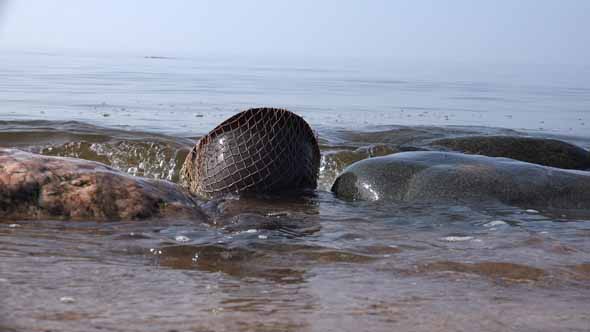 US Military Helmet 15 alt
