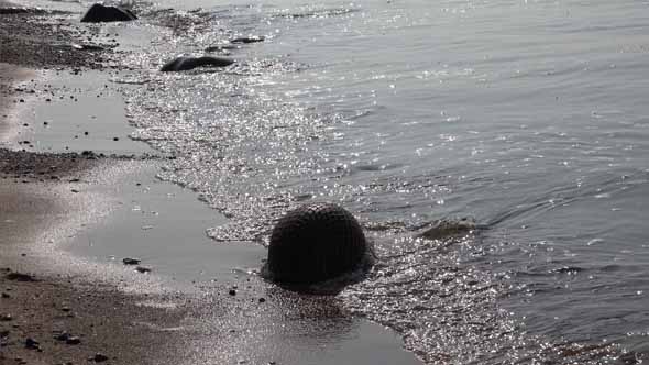 US Military Helmet 17 alt