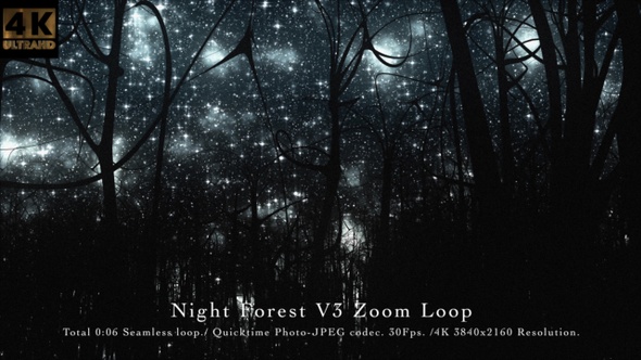 Night Forest V3 Zoom