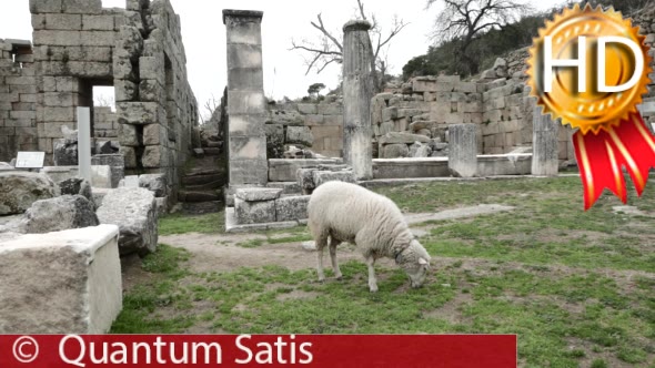 Lamb of God Among the Ruins of Antique Temple
