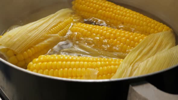 Boiling Corn at the Pan alt