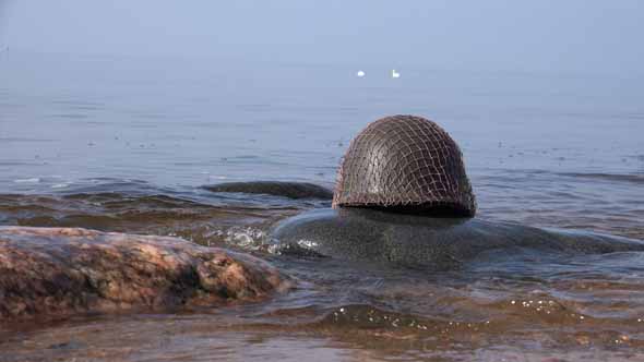 US Military Helmet 29 alt