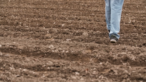 Farmer Walking On Farm Land, Planning New Seeding Season alt
