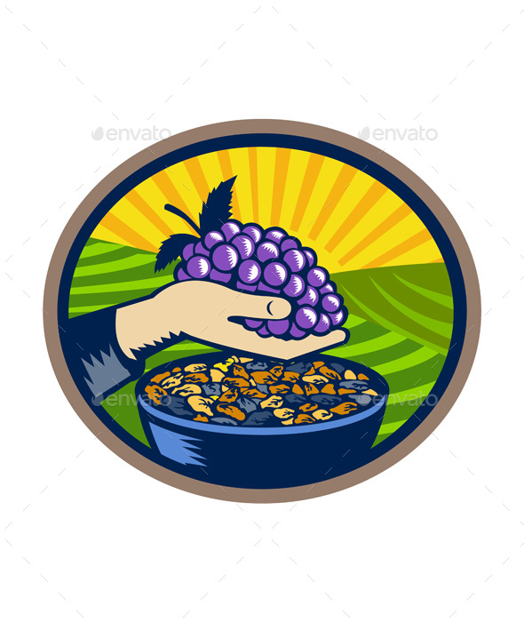 Hand Holding Grapes Raisins Oval Woodcut - Food Objects