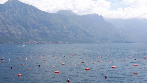 Mussel Farm In The Bay Of Kotor