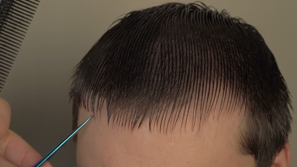 Male Hairdresser Cutting Client's Wet Hair In Salon