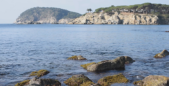 Mediterranean Seaweed, Rocks and Waves