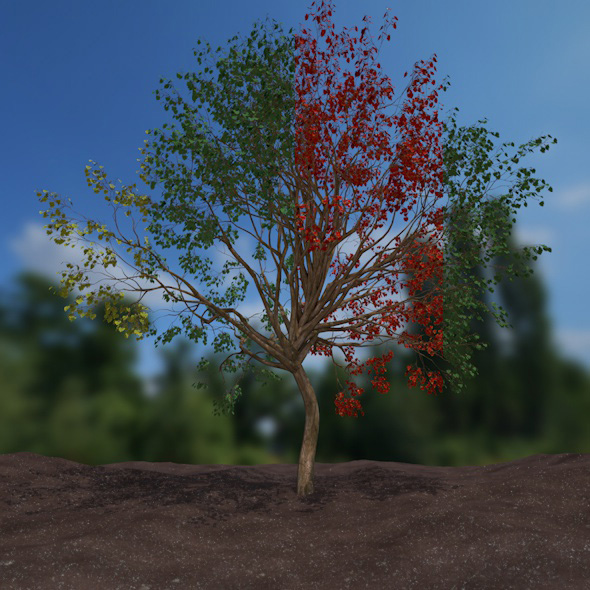 high poly tree - 3Docean 15597123