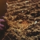 Farmer Examining Soil. Agriculture Background. - VideoHive Item for Sale
