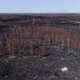 Flight Over Burnt Forest In Spring - VideoHive Item for Sale