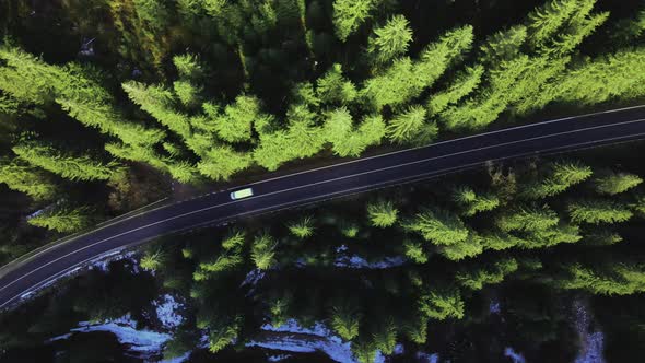 The road is located between the trees of the mountain forest. Aerial view.