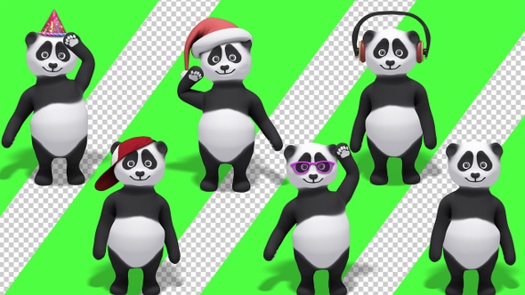 Panda Bear - Friendly Hello Greeting Gesture (6-Pack)