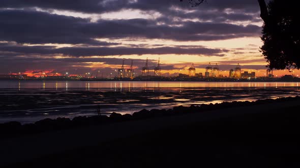 Large Cranes At The Port Of Tauranga Across Tauranga Harbor On A Golden Sunrise In New Zealand. - wi alt
