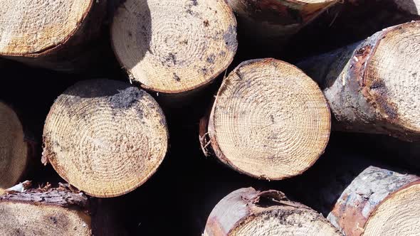 Timber Stacks at Bonny Glen in County Donegal - Ireland alt