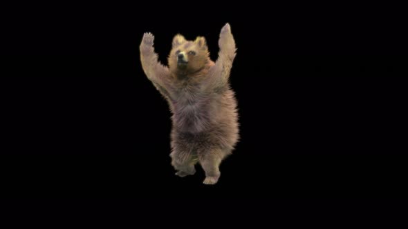 181 Bear Standing Cast Spell 4K alt