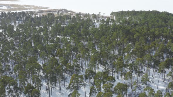 Winter Forest And Lake Against The Background Of Mountains Aerial Photography alt
