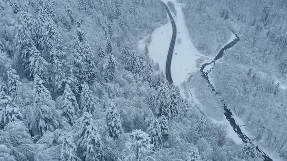 Aerial shot: spruce and pine winter forest completely covered by snow. alt