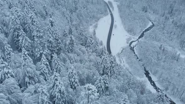 Aerial shot: spruce and pine winter forest completely covered by snow.