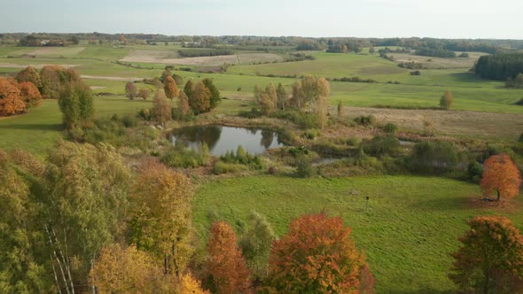 AERIAL: Isolated Small Pond in Countryside During Autumn Season