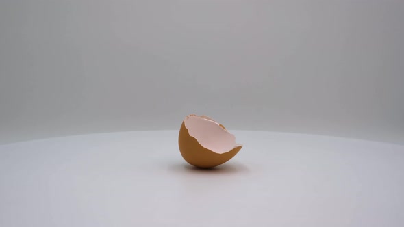 Eggshell alt