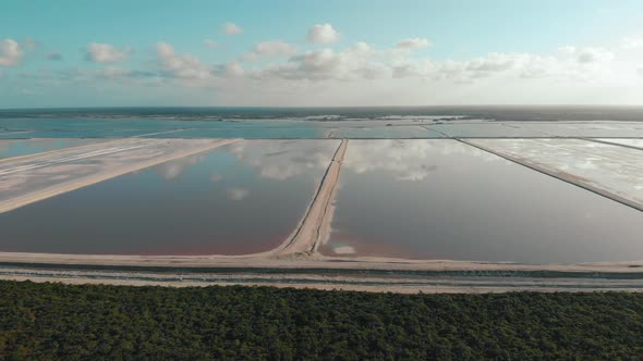 Flying Over the Pink Hued Lagoons of Famous Las Coloradas on a Sunny Summer Day