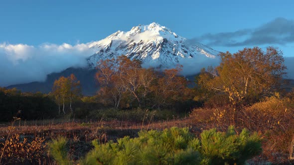 Stunning Volcanic Landscape, View of Rocky Cone Volcano, Yellow-Orange Forest