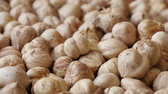 Slow tilt healthy  common hazelnuts  food background 4K 2160p 30fps UltraHD footage - Lot of Corylus alt