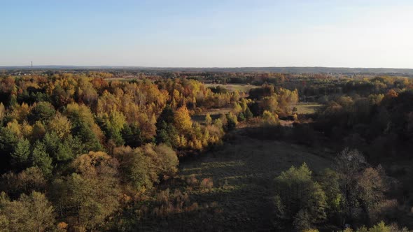 Autumn forest seen from above. alt