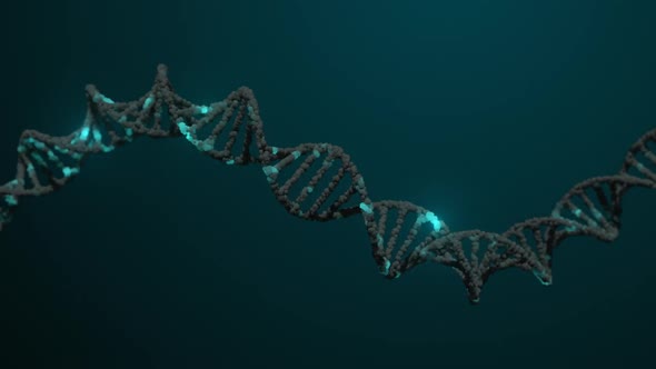 DNA Strand Double Helix Looped Animation alt