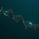 DNA Strand Double Helix Looped Animation - VideoHive Item for Sale