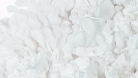 Super Slow Motion Shot of Abstract White Ink Flowing in Water at 1000Fps alt