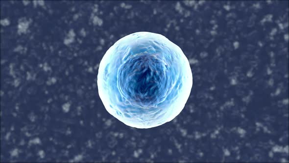 3D rendered Animation of a single biological Cell