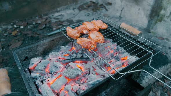 Grilled Chicken Wings