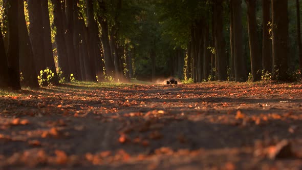 RC Monster Car Drives Fast and Making Thick Smoke. alt