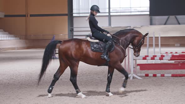 Equestrian  a Woman Slowly Rides a Horse in an Arena alt