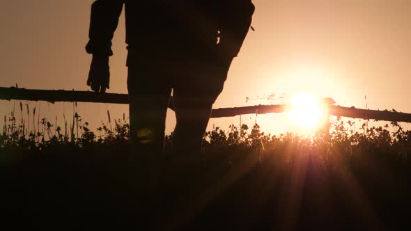 Man's silhouette on sunrise.  Green tourism, eco living in the village on backlight.