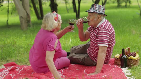 Family Weekend Picnic in Park. Senior Old Couple Sit on Blanket and Drink Wine. Making a Kiss. Love alt