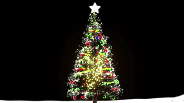 Christmast Tree
