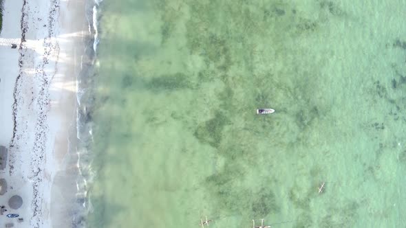 Vertical Video of the Coast of Zanzibar Island Tanzania Slow Motion alt