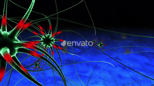 Synapse Neurons Nerve Transmission Impulse Stock Motion Graphics Background Loop Template P