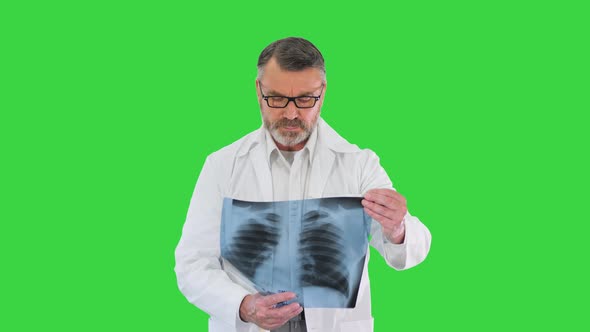 Professional Doctor Checking a Patient's Radiograph While Walking on a Green Screen Chroma Key alt