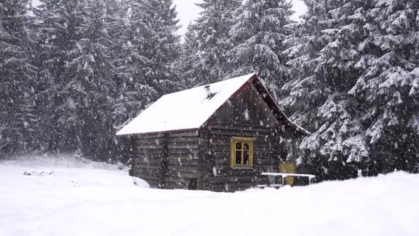 Snow Falling on Dark Mountain Forest and Wooden Hut