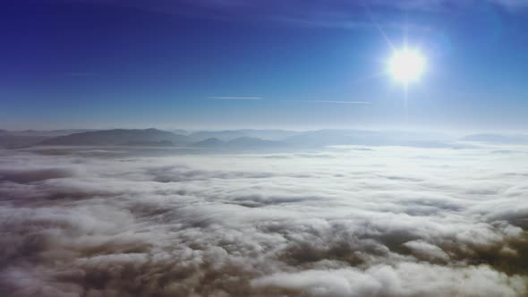High Snowy Mountain Covered with Evergreen Fir Trees on a Sunny Cold Day alt