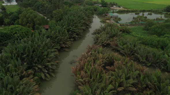 drone shot flying above wetlands and rice fields on the outskirts of Ho Chi Minh City, Vietnam alt