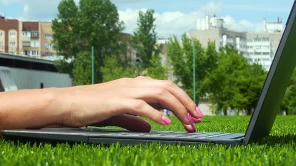 Working At A Laptop On The Lawn In The Park On A Hot Summer Day