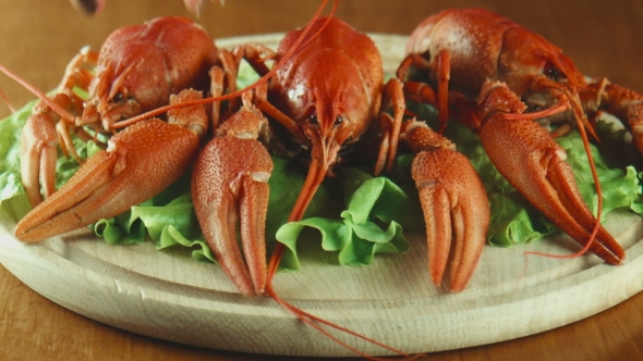 Crayfish Lobsters On a Tray alt