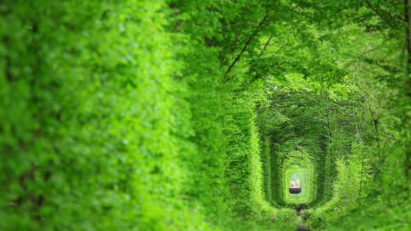 Green Tunnel and the Train alt