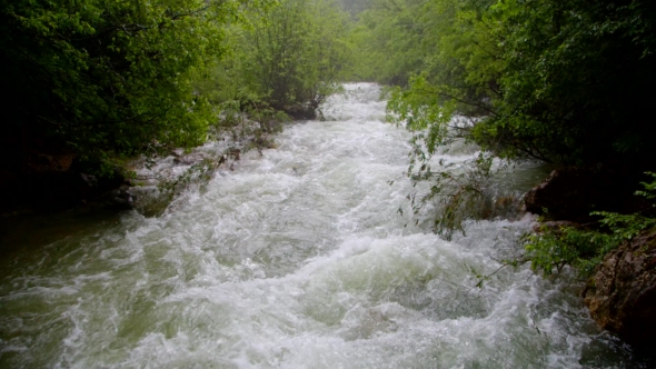 Rapid River Flow Rushing Down In Green Forest