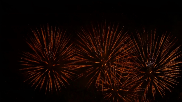 Fantastic Fireworks Display Show In Night Sky
