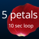 5 Rose Petals  - VideoHive Item for Sale